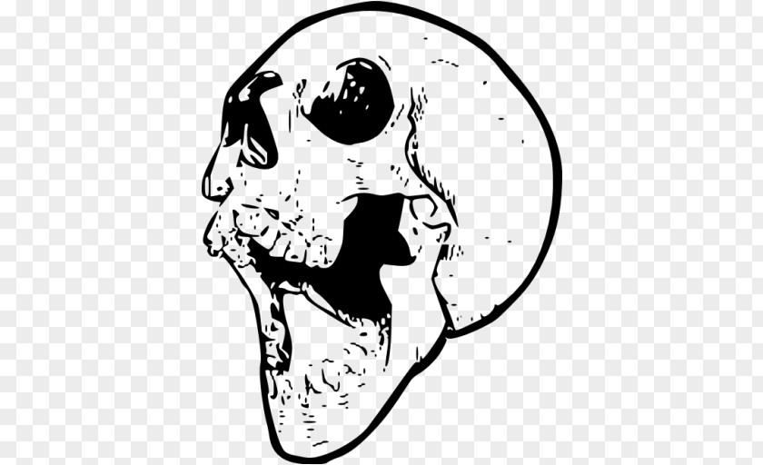 Skull Calavera Human Symbolism Drawing Art PNG