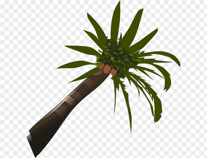 Transparent Cartoon Palm Tree Arecaceae Coconut Clip Art PNG