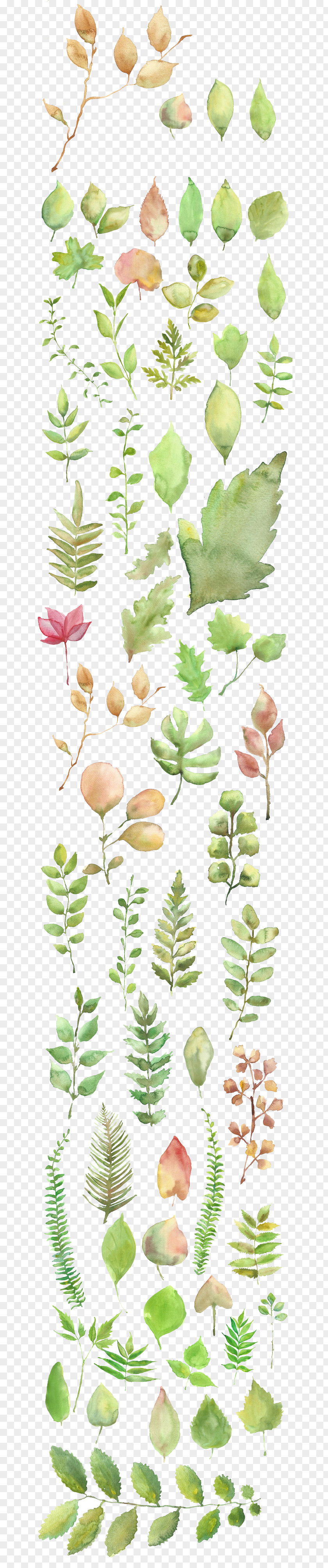 Watercolor Leaves Shading Material Painting PNG