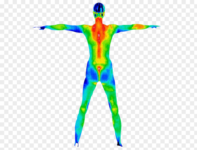Acupuncture & Wellness Center Human Body Medicine Medical DiagnosisOthers Thermography Sunshine Healing Arts PNG