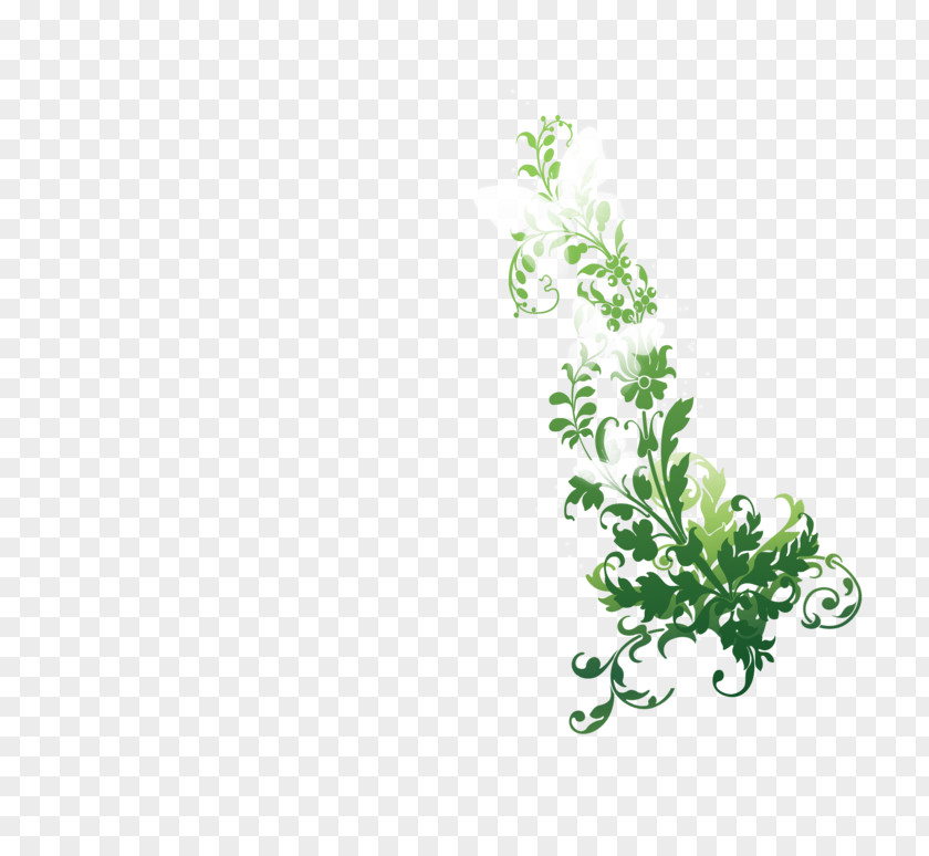 Butterfly Clip Art Image Nature PNG