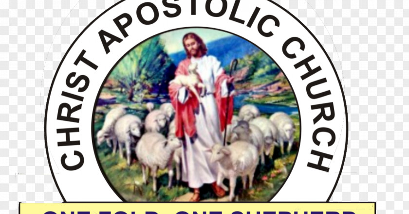 Christ Apostolic Church Christian Pastor Nigeria PNG