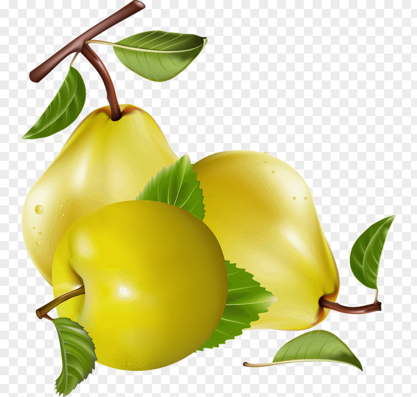 Juice Pear Fruit Clip Art Berries PNG
