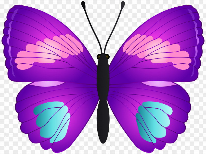 Red Butterfly Art Clip PNG
