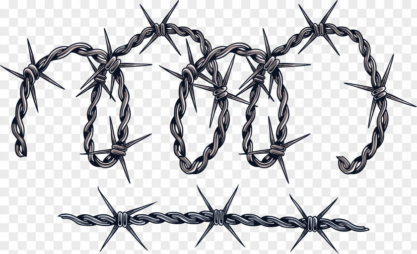 Barbwire Wire Vecteur PNG