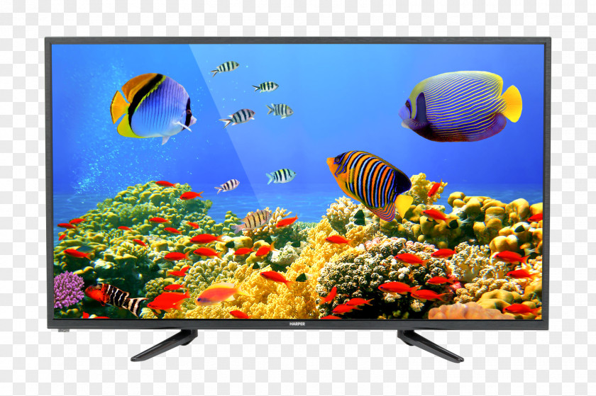 Coral Reef Desktop Wallpaper Retina Display MacBook Pro PNG
