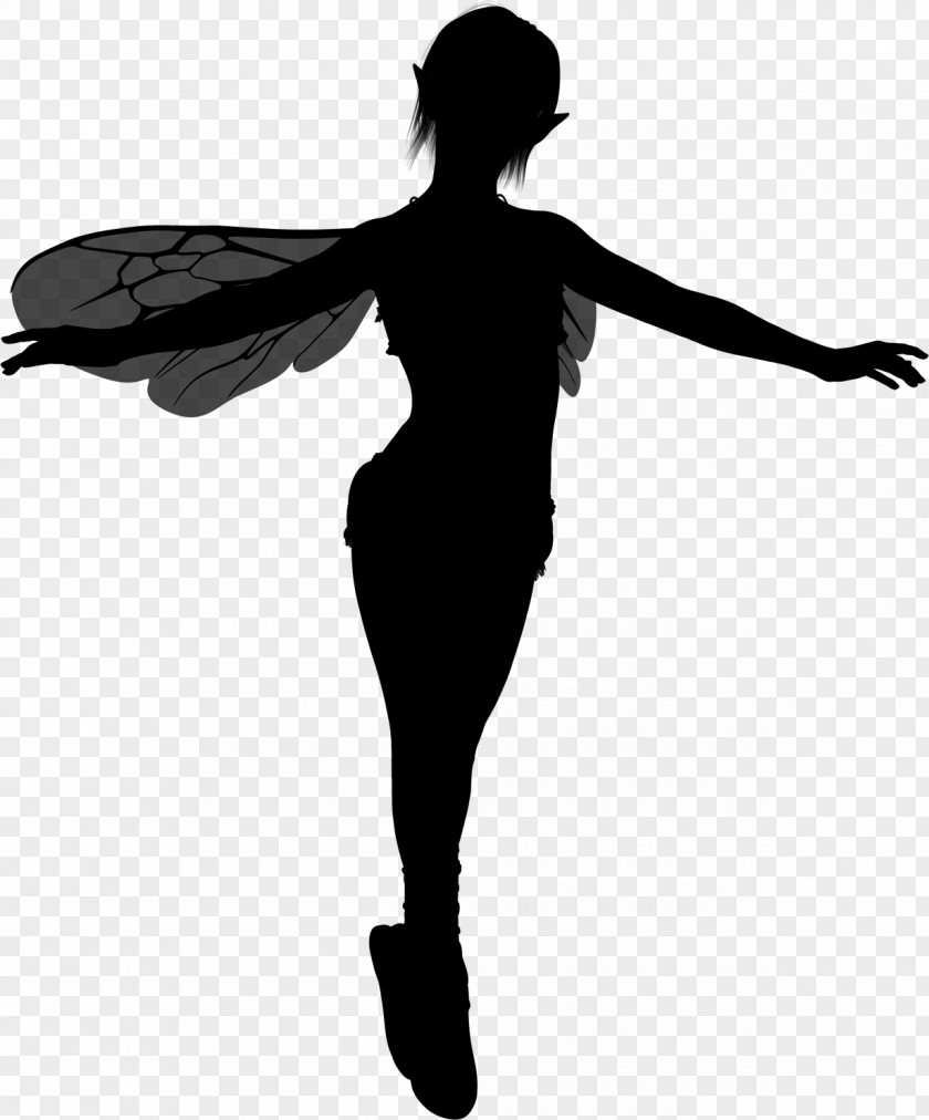 Fairy Dust Silhouette Tale PNG