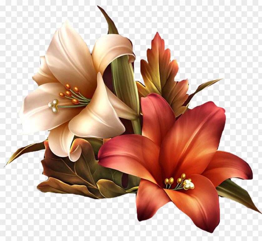 Flawer Flower Clip Art PNG