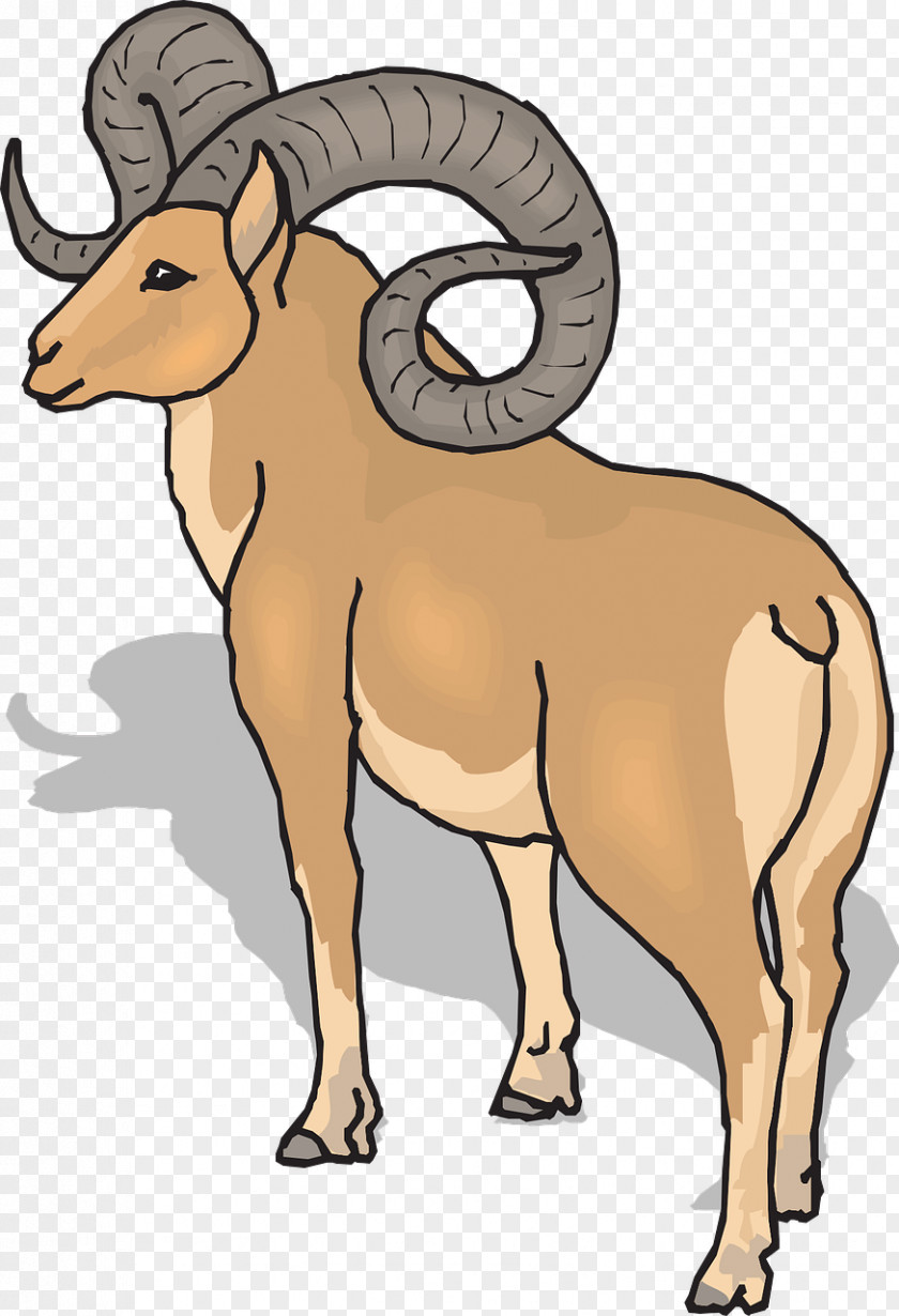 Goat Ram Trucks Sheep Dodge Clip Art PNG