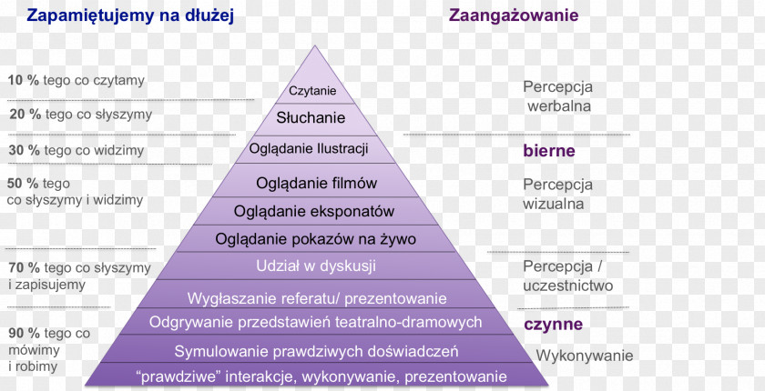 Line Diagram Brand PNG