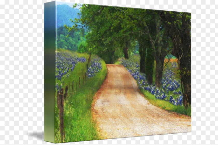 Painting Watercolor Gallery Wrap Canvas Nature Story PNG