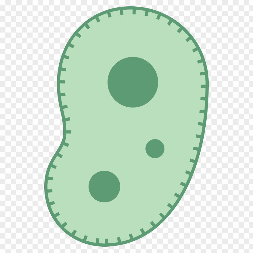 Bacteria Font PNG