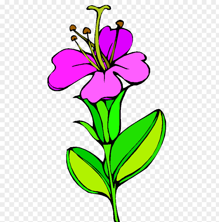 Bunga Nasional Floral Design Cut Flowers Plant Stem Flowering PNG