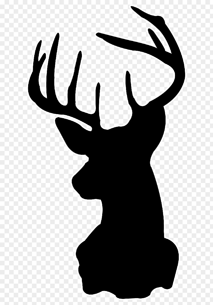 Deer Head Silhouette White-tailed Stencil Drawing PNG
