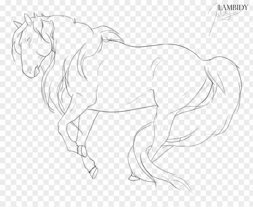 Hairy Line Art American Miniature Horse Pony Drawing Stallion PNG