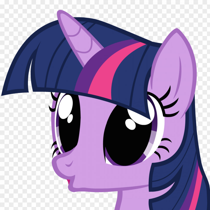 Horse Pony Twilight Sparkle Rainbow Dash Rarity PNG