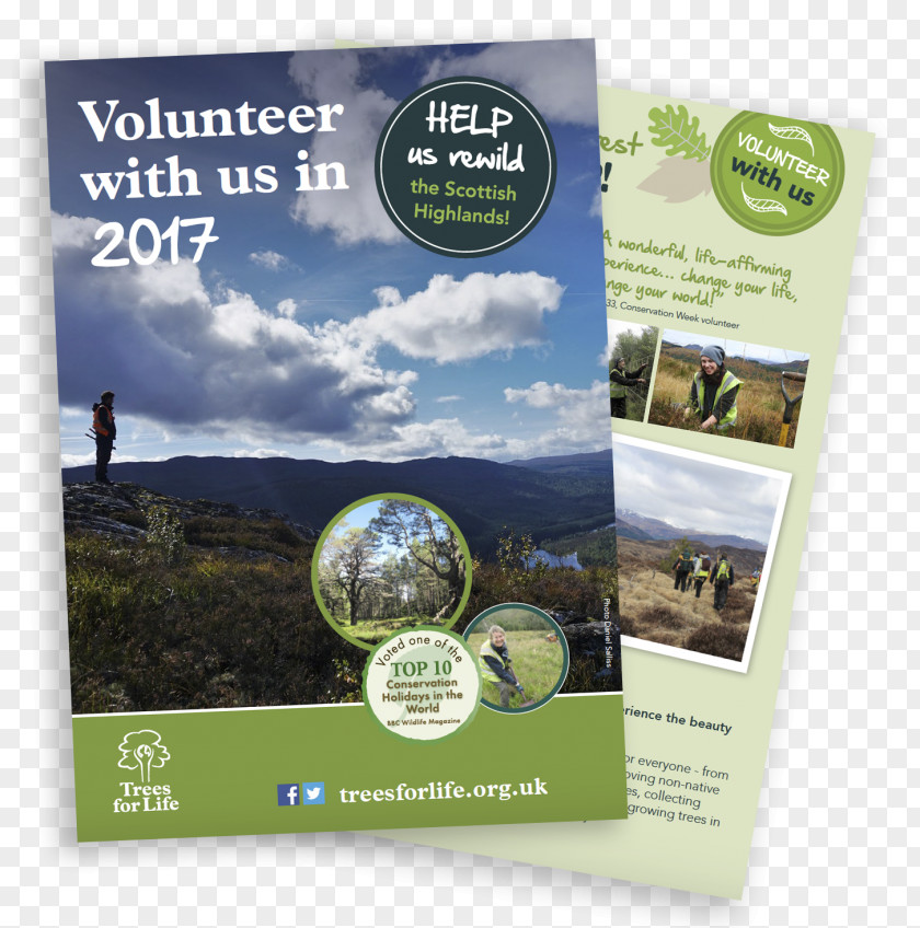 Rewilding Ecosystem Brand Brochure PNG