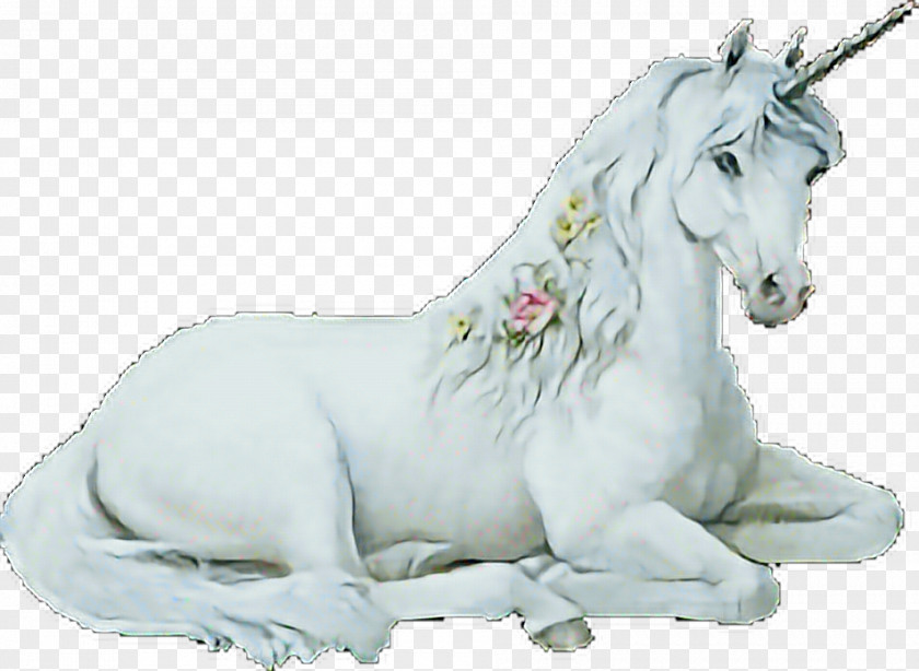 Unicorn Clip Art Qilin Pegasus Fairy Tale PNG
