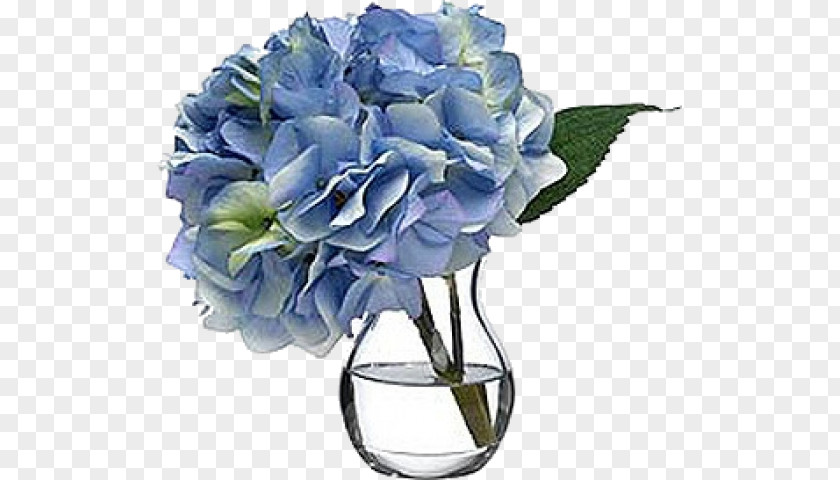 Flower Garden Roses Blue French Hydrangea Cut Flowers PNG