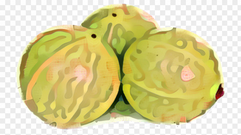 Fruit Wild Cabbage Vegetable Cartoon PNG