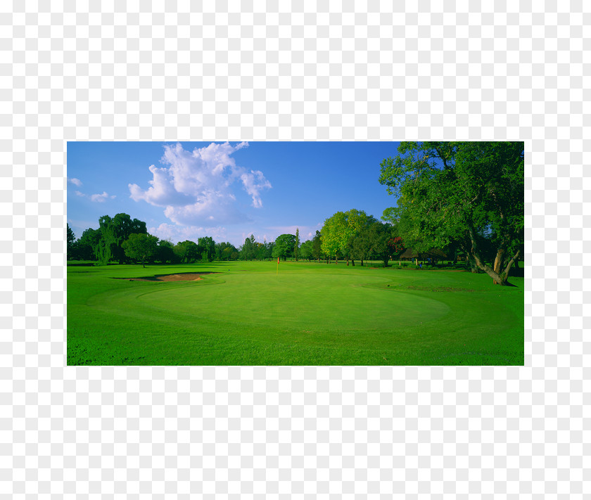 Golf Course Clubs Grassland Leisure PNG