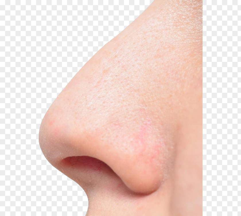 Human Nose PNG