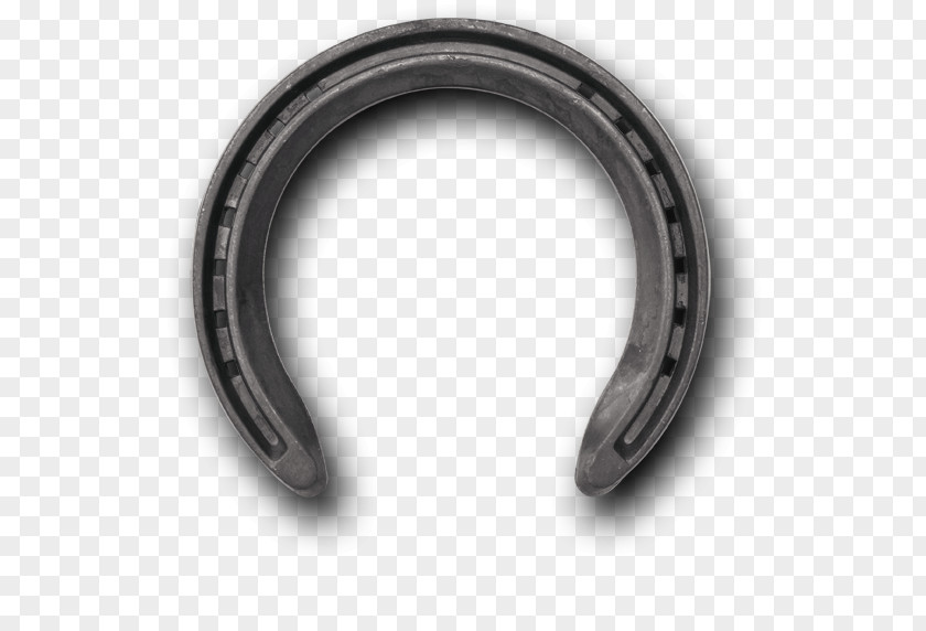 Steel Plate Horseshoe Standardbred Horse Racing Hoof PNG