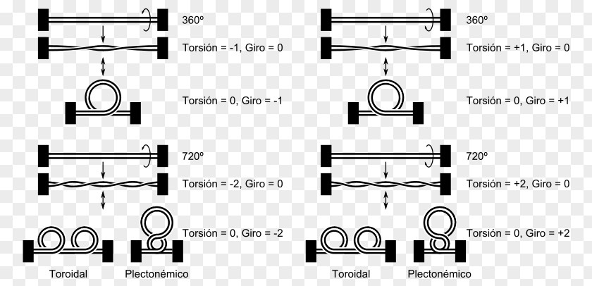 Timeline Technology Genetics DNA Computer Software PNG