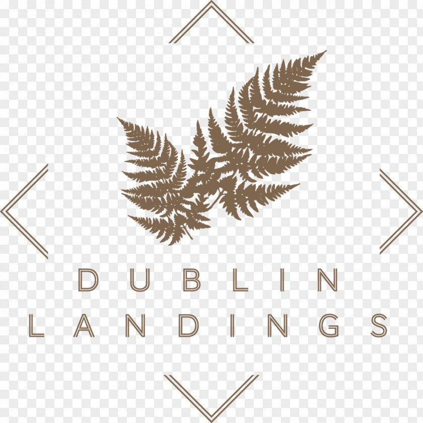 Bally Pattern Host Point Campus Student Accommodation Dublin Landings Lensmen Photography And Video Production Logo PNG
