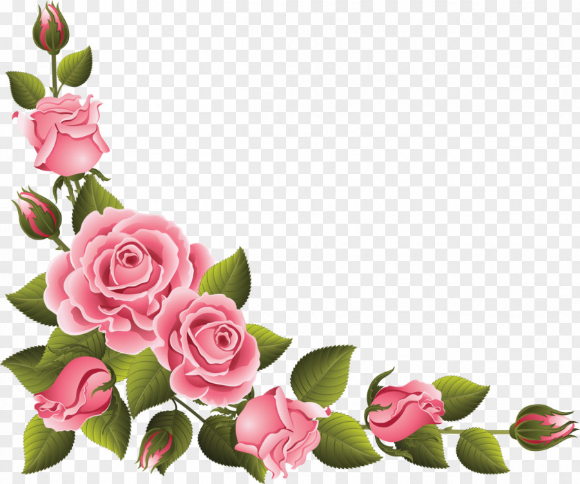 Ram God Rose Flower Pink Clip Art PNG