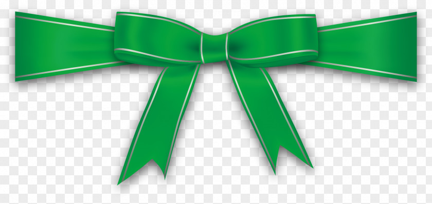 Vector Painted Green Bow Ribbon Shoelace Knot Gratis PNG