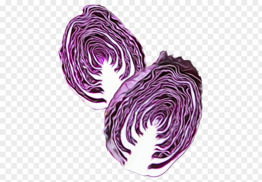 Food Red Cabbage Purple Violet Vegetable PNG