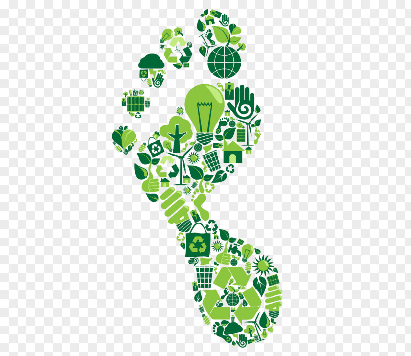 Green Sustainability Footprint PNG