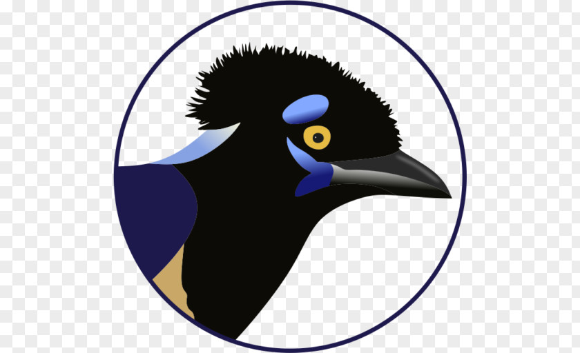 Noroeste Clip Art Bird Eurasian Magpie PNG