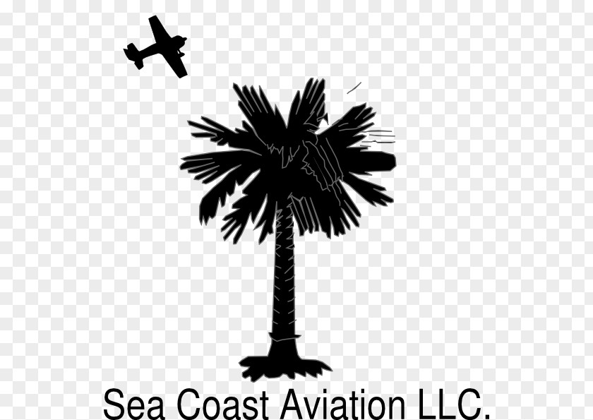 North Sea Coast Flag Of South Carolina Sabal Palm Trees Crescent PNG