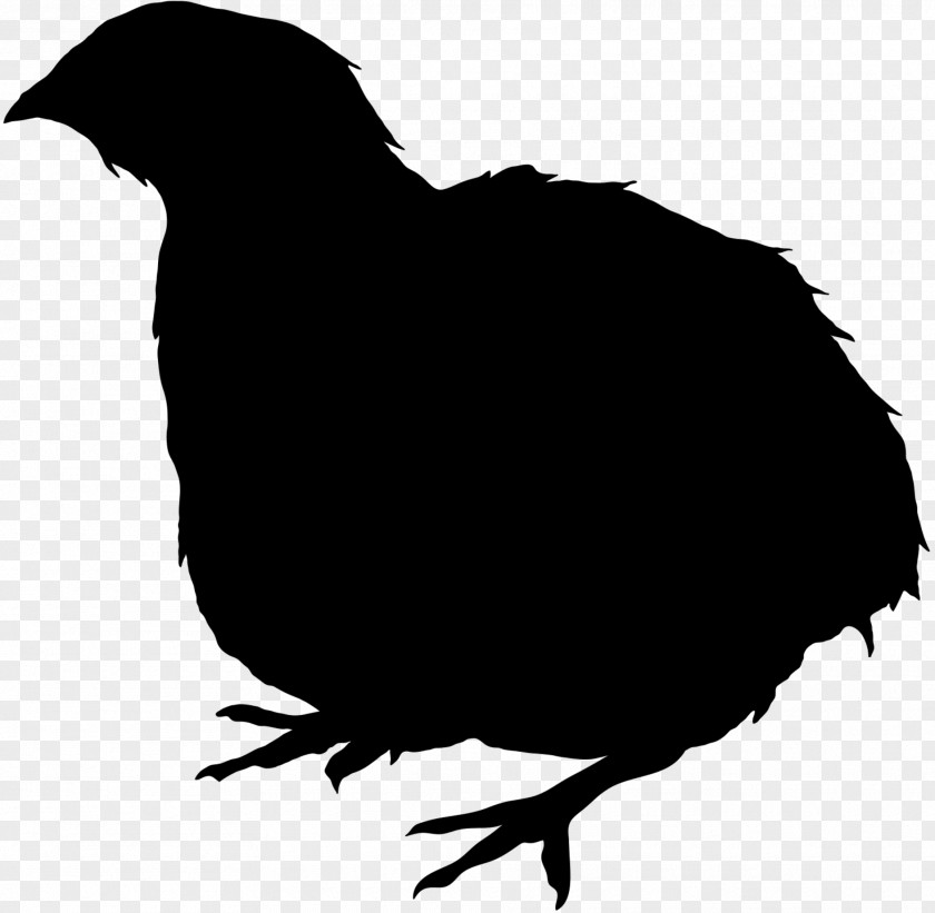 Quail Unemployment Northern Bobwhite Clip Art Chicken PNG