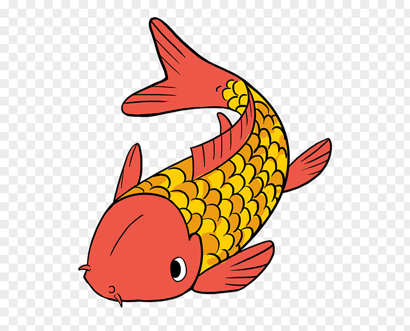 Barbel Pattern Clip Art Koi Drawing Image PNG