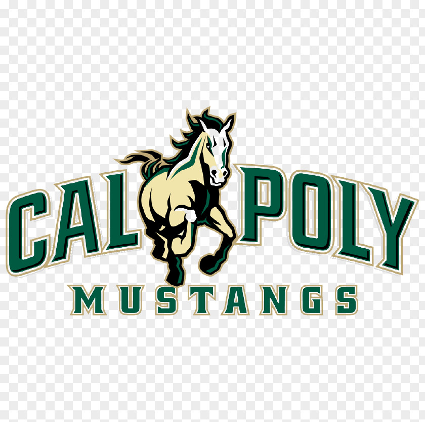 Cal Poly Mustangs Men's Basketball Baseball Women's Ticket Office San Luis Obispo College Of Architecture And Environmental Design PNG
