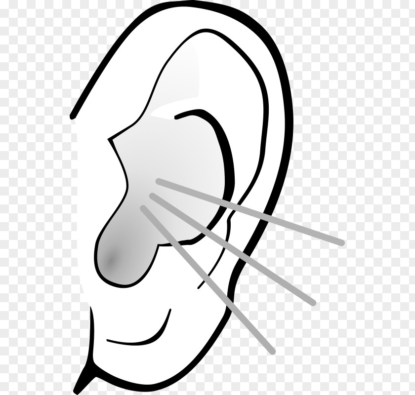 Ears Clip Art PNG
