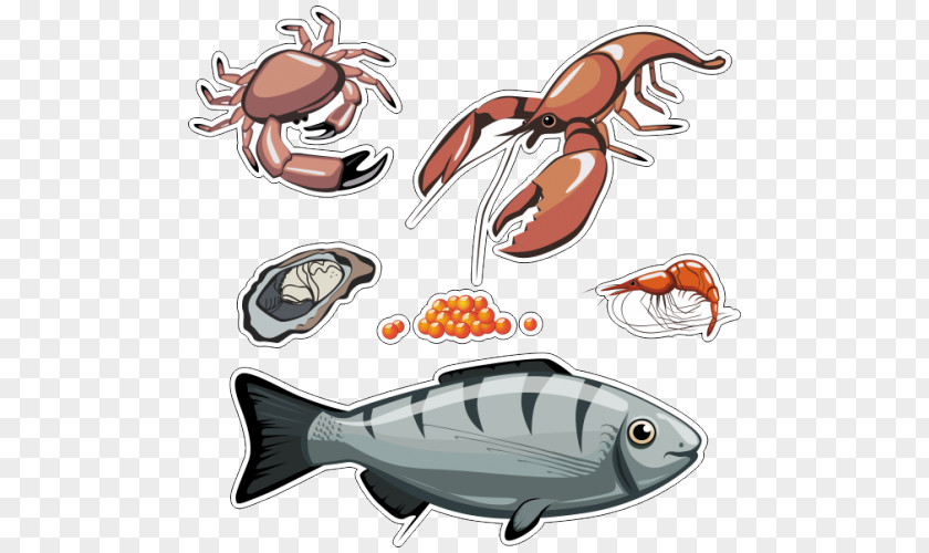 Fish Shellfish Crab Drawing PNG