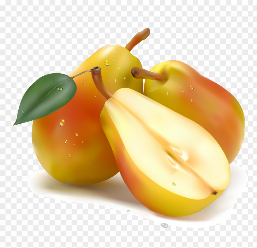 Pear Clip Art PNG