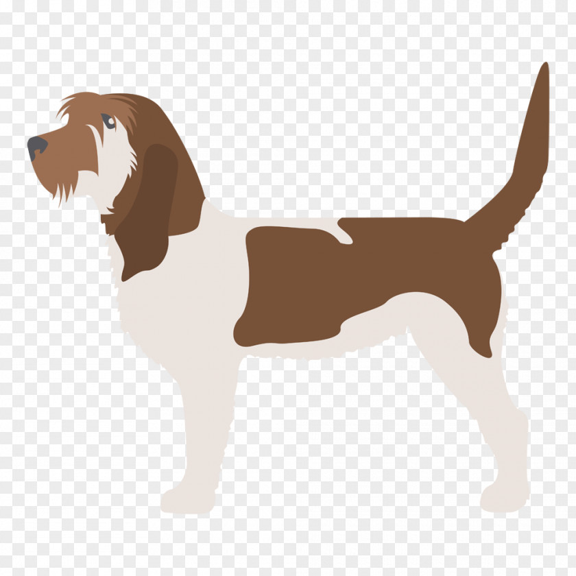 Springer Spaniel Kerry Blue Terrier Samoyed Dog Border Basset Hound PNG