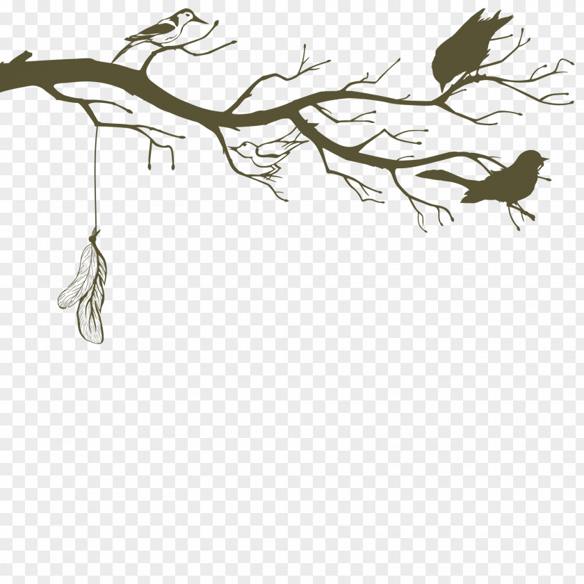 Vector Bird Dead Tree Download Paper PNG