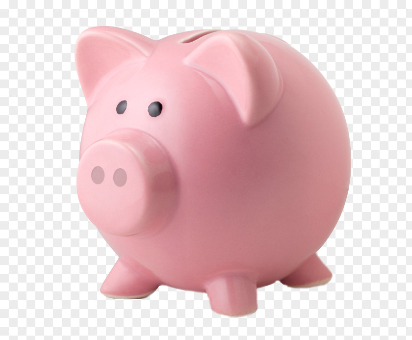 Bank Piggy Saving Money PNG