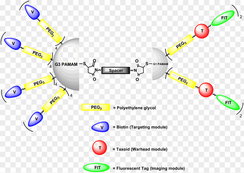 Blue Bow Tie Targeted Drug Delivery Dendrimer Pharmaceutical Therapy PNG