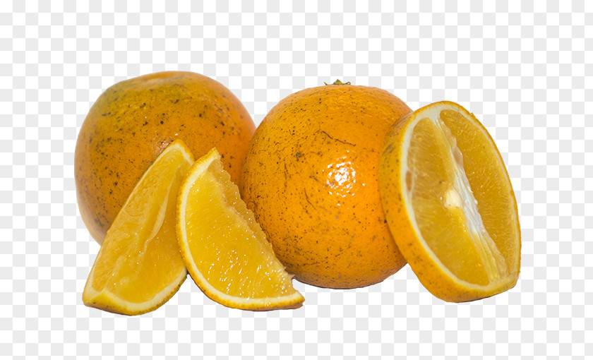 Goose Citron Roast Orange Juice PNG