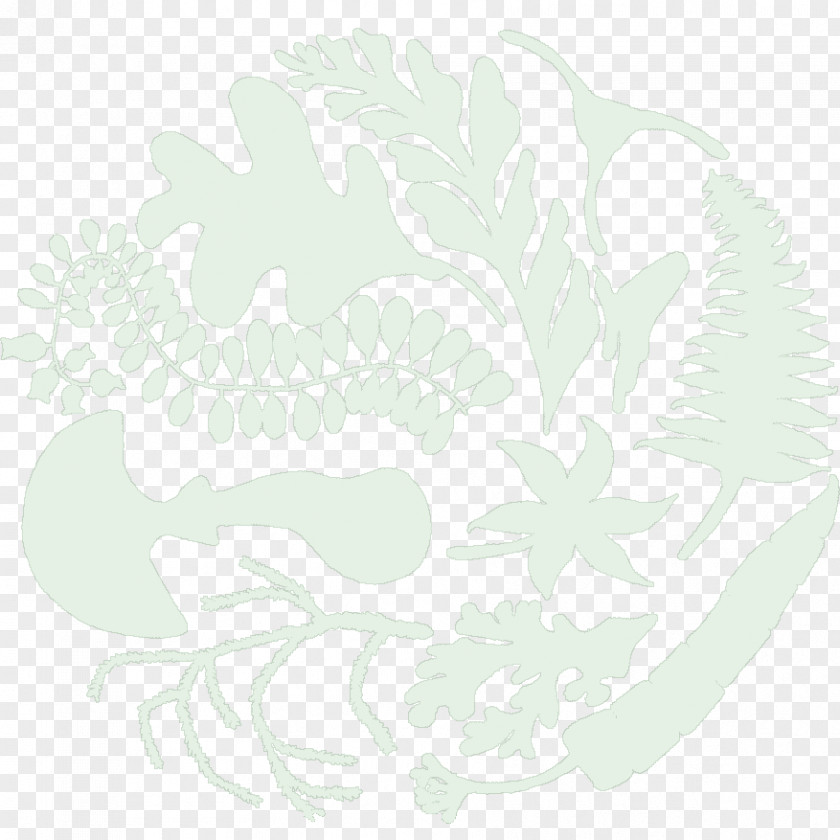 Leaf Botany PNG