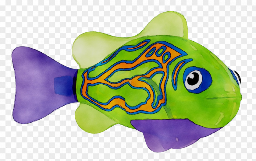 Marine Biology Green Mammal Fish PNG