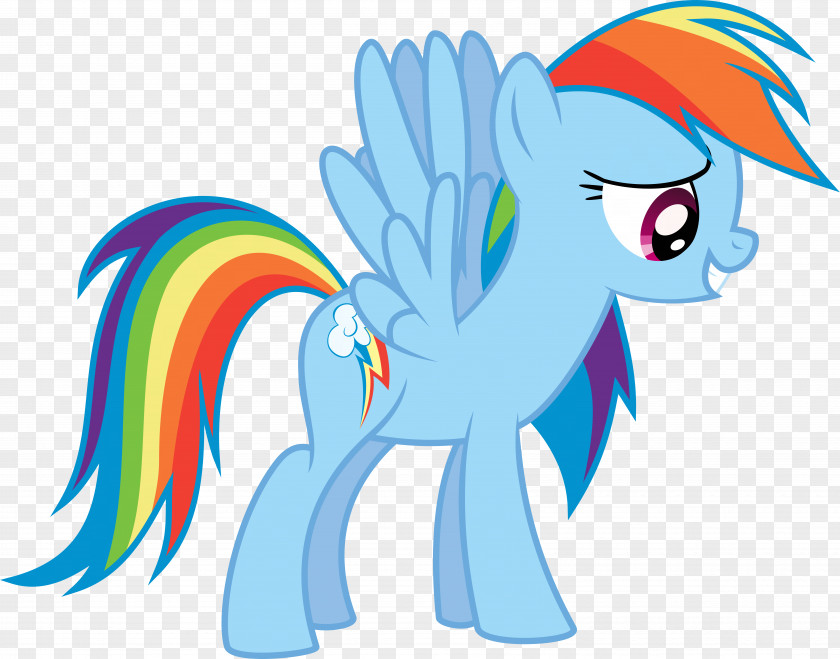 Rainbow Dash Applejack Pinkie Pie Rarity PNG