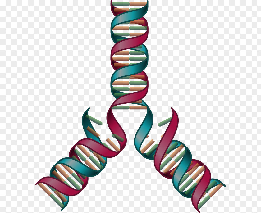 Reactome Biological Pathway Knowledge Clip Art PNG